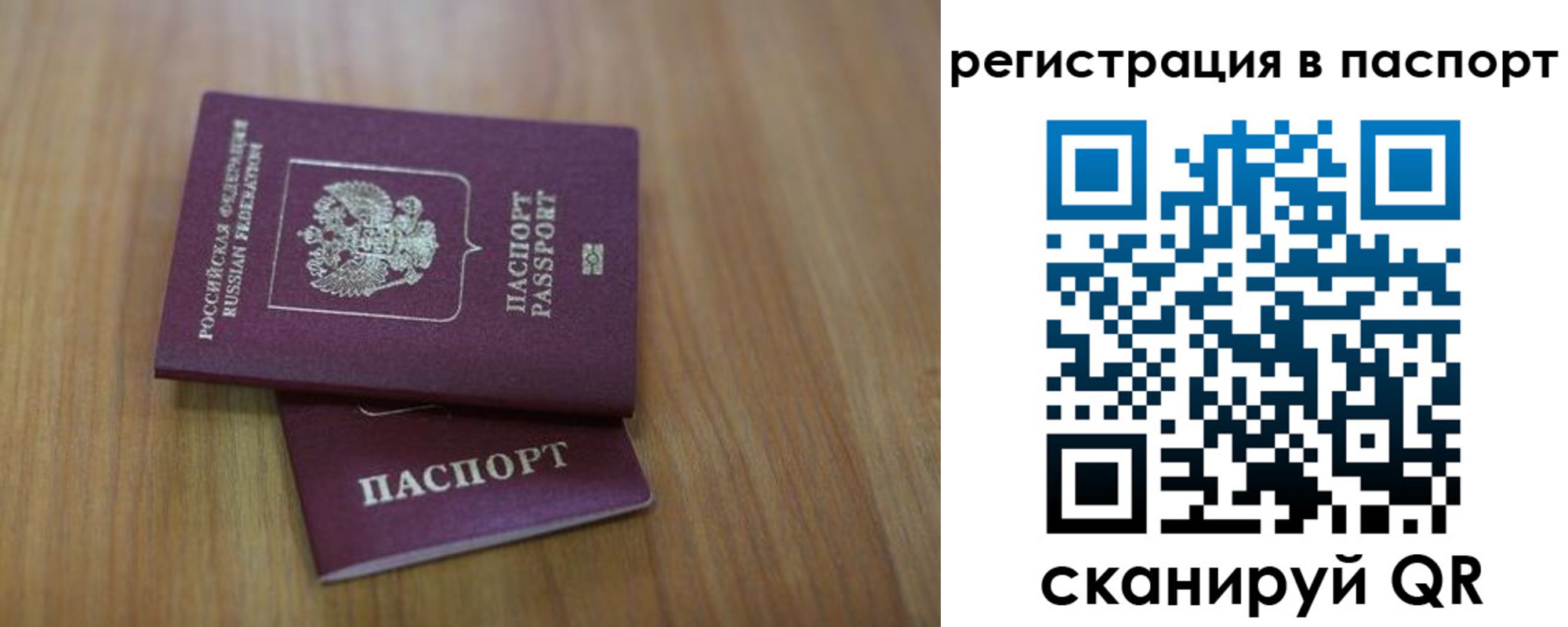 прописка гарантия в Бийске